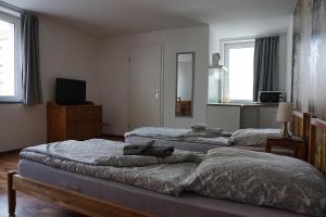 a bedroom with two beds and a tv and windows at Mitte24 in Neu Ulm