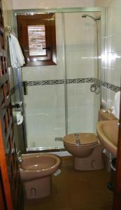 a bathroom with a shower and a toilet and a sink at Hostal Rural Las Terrazas de la Alpujarra in Bubión