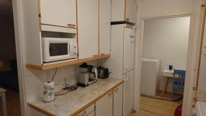 Dapur atau dapur kecil di Pätkä