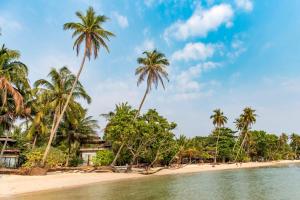 Pantai di atau dekat dengan resort