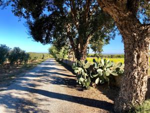 Natuurlandschap vlak bij de vakantieboerderij