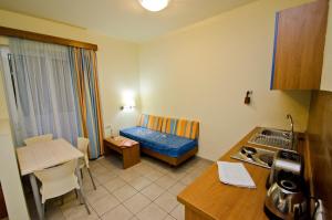 Kuchyň nebo kuchyňský kout v ubytování Stella Hotel