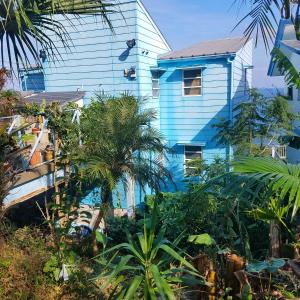 宮崎的住宿－Ocean Home Guest House，一座蓝色的建筑,前面有棕榈树