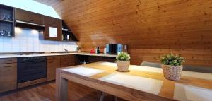 Kuchyň nebo kuchyňský kout v ubytování Gästehaus Behabühl