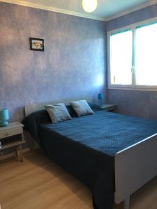 1 dormitorio con cama con sábanas azules y ventana en Gîte Prat, en Arette