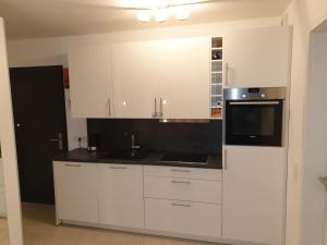 Schicke Ferienwohnung Darmstadt Bessungenにあるキッチンまたは簡易キッチン