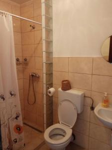a bathroom with a toilet and a shower and a sink at Apartmani MiNa in Neum
