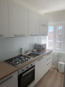 Kuchyň nebo kuchyňský kout v ubytování Apartmani SB 42