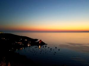 a group of birds on the water at sunset at Hotel Villa Principe in San Nicola Arcella