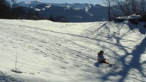 a person on a snowboard down a snow covered slope at Chambre d'Hôte ROMARICA in Saint-Sigismond