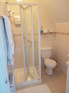 a bathroom with a shower and a toilet at Woodview Bed & Breakfast. in Letterkenny
