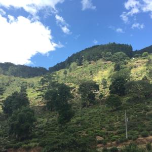 Paesaggio naturale nelle vicinanze della stanza in casa privata