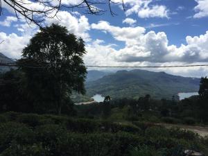Paesaggio naturale nelle vicinanze della stanza in casa privata