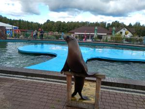 Fotografie z fotogalerie ubytování Laba na Miłej v destinaci Leba