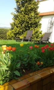 Zahrada ubytování FeWo Sonnenblume
