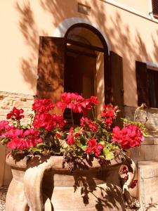 a stone bench with red flowers in it at Villa Brettino- Pesaro mare e cultura - intera struttura con piscina in Fano
