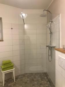 a shower with a glass door in a bathroom at SEASIDE APT. - BEACHHOUSE SOUL in Eckernförde