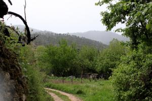 a dirt road in a field with mountains in the background at Casa Mercedes in Molinicos