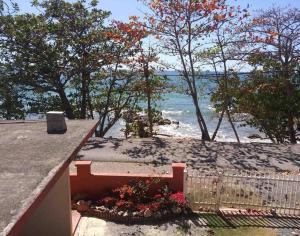 Gallery image of Brisas Del Mar 1/1 Front Beach Apartment in Rincon