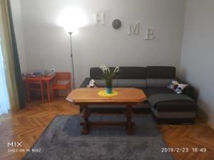a living room with a couch and a coffee table at Apartament Sofia Agroturystyka in Ryczów