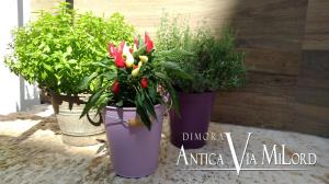 A garden outside Dimora Antica Via MiLord