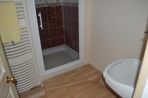 a bathroom with a shower and a sink and a toilet at Sunnycroft in Sutton on Sea