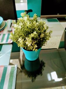 a blue vase with white flowers on a table at Turquesa de Sevilla Suite in Seville