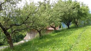 Zahrada ubytování Müllnerhaus