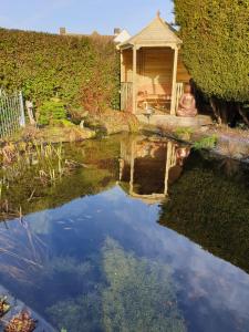 a reflection of a house in a pond at Sunnycroft in Sutton on Sea