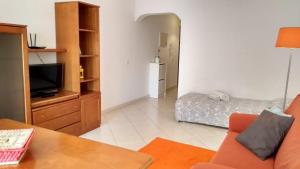 Μια τηλεόραση ή/και κέντρο ψυχαγωγίας στο Apartamentos Monica