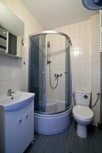 a bathroom with a shower and a toilet and a sink at Luna in Mielenko