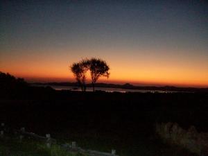 a tree on a hill with the sunset in the background at Villa Panorama in Moúdhros