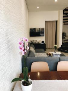 TV a/nebo společenská místnost v ubytování Visiani apartment