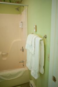 a bathroom with white towels and a bath tub at Green Tree Inn in Elsah