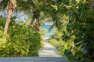 a path leading to a beach with palm trees at Casa Maya Kaan in Tulum