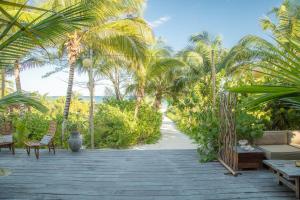 a garden with palm trees and a wooden walkway at Casa Maya Kaan in Tulum
