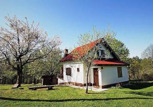 a small white house with a red roof in a field at Holiday Home Coprnička Hiša in Skrad
