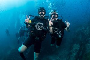 Hosté ubytování Carabao Diving Koh Tao