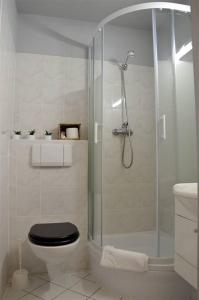a bathroom with a shower with a toilet and a sink at Hotel Szablewski in Dymaczewo Nowe