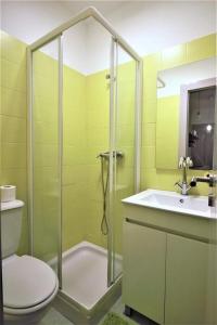a bathroom with a shower and a toilet and a sink at Cantinho da Matriz in Viana do Castelo