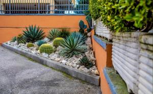 Fotografie z fotogalerie ubytování Hotel Venere v destinaci Villaricca