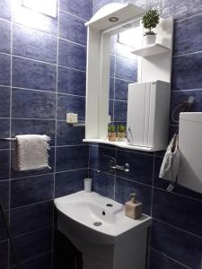 A bathroom at Apartment Vukasevic