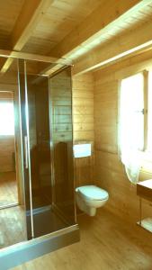 uma casa de banho com um WC e uma cabina de duche em vidro. em Chalet des Remparts em Sainte-Marie