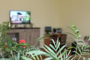 TV a/nebo společenská místnost v ubytování Nana's Home