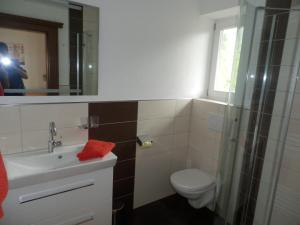 a bathroom with a toilet and a sink and a mirror at Margarete Gwehenberger in Kleinarl