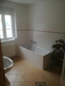 a bathroom with a tub and a plant in it at Auestraße 94A in Glauchau