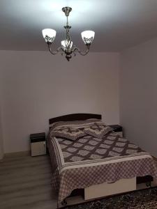1 dormitorio con cama y lámpara de araña en Apartament Mioritza 2A en Horezu