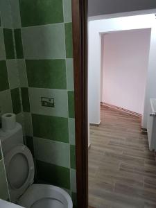 a bathroom with a green and white tiled wall at Apartament Mioritza 2A in Horezu