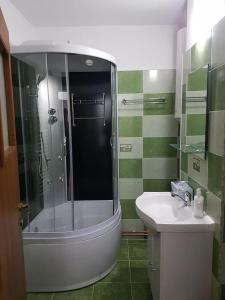 y baño con ducha y lavamanos. en Apartament Mioritza 2A en Horezu