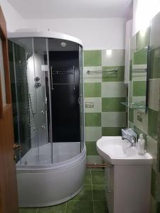 a bathroom with a shower and a sink at Apartament Mioritza 2A in Horezu +6 photos